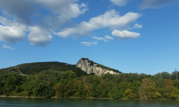 Avignon – Saint Louis