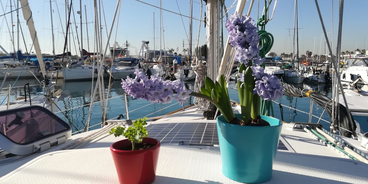 Vinter blir vår i Valencia