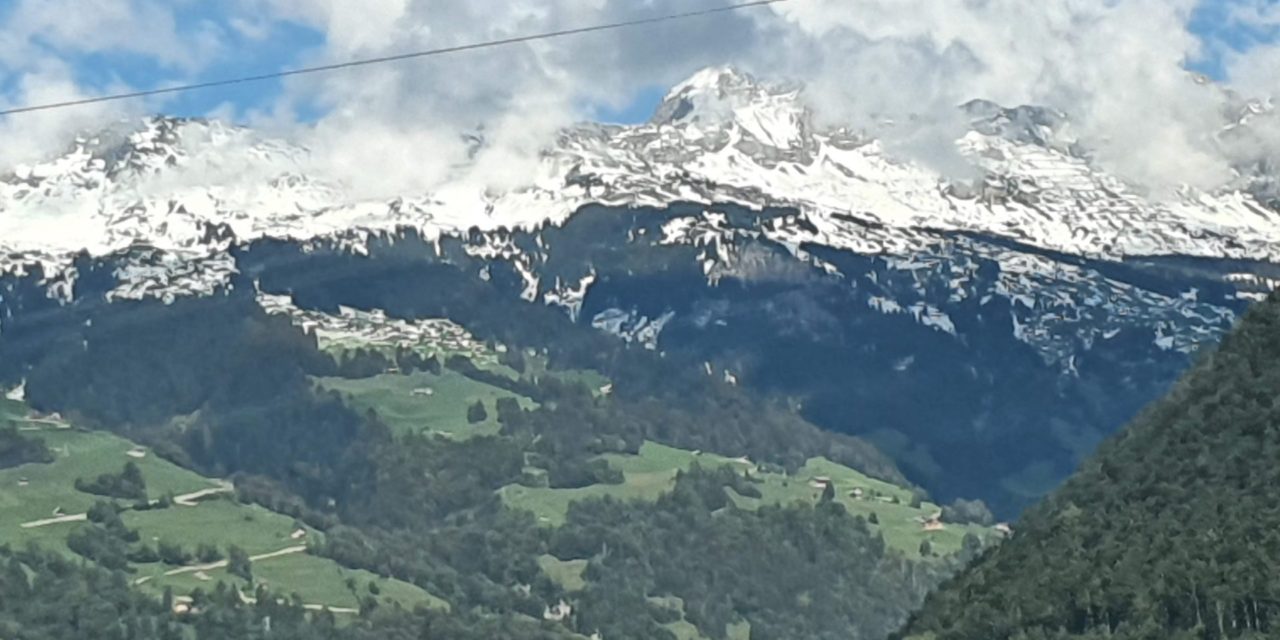 Alperna