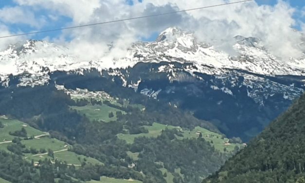 Alperna