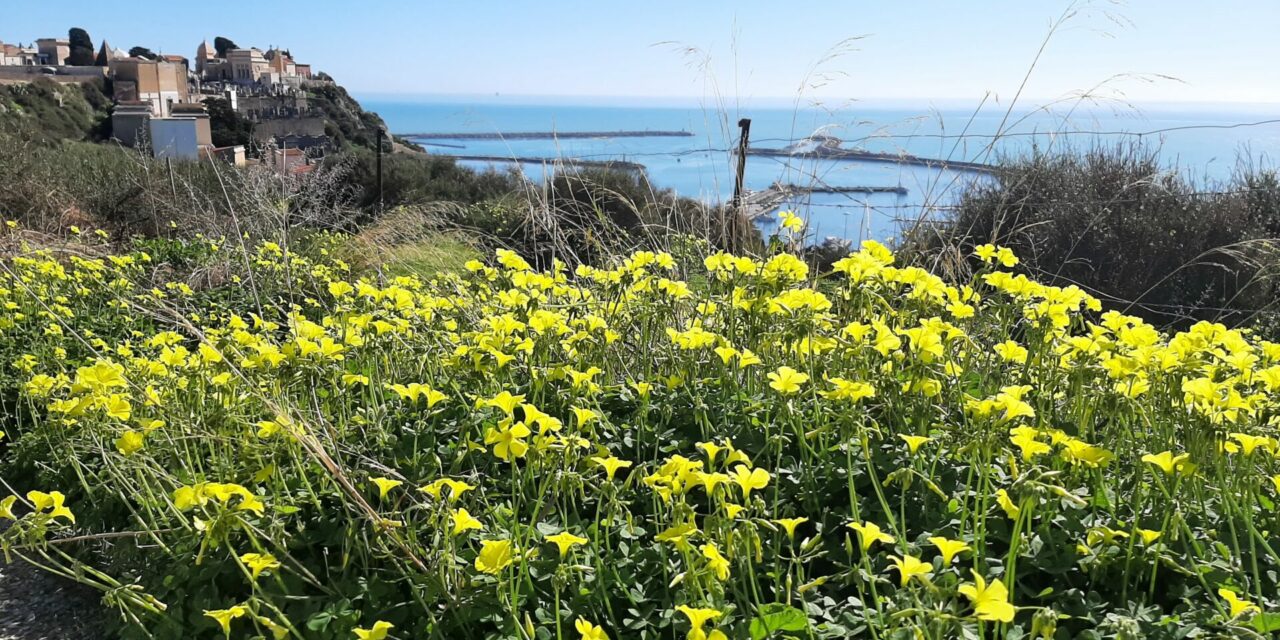 Promenad i LICATAs omgivning