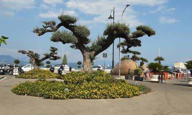 Farväl Gaeta