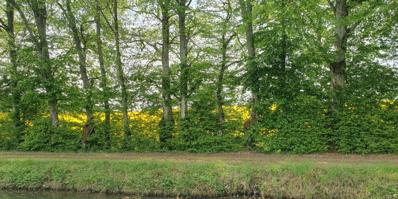 Canal entre Champagne et Bourgogne