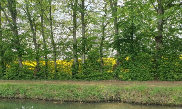 Canal entre Champagne et Bourgogne